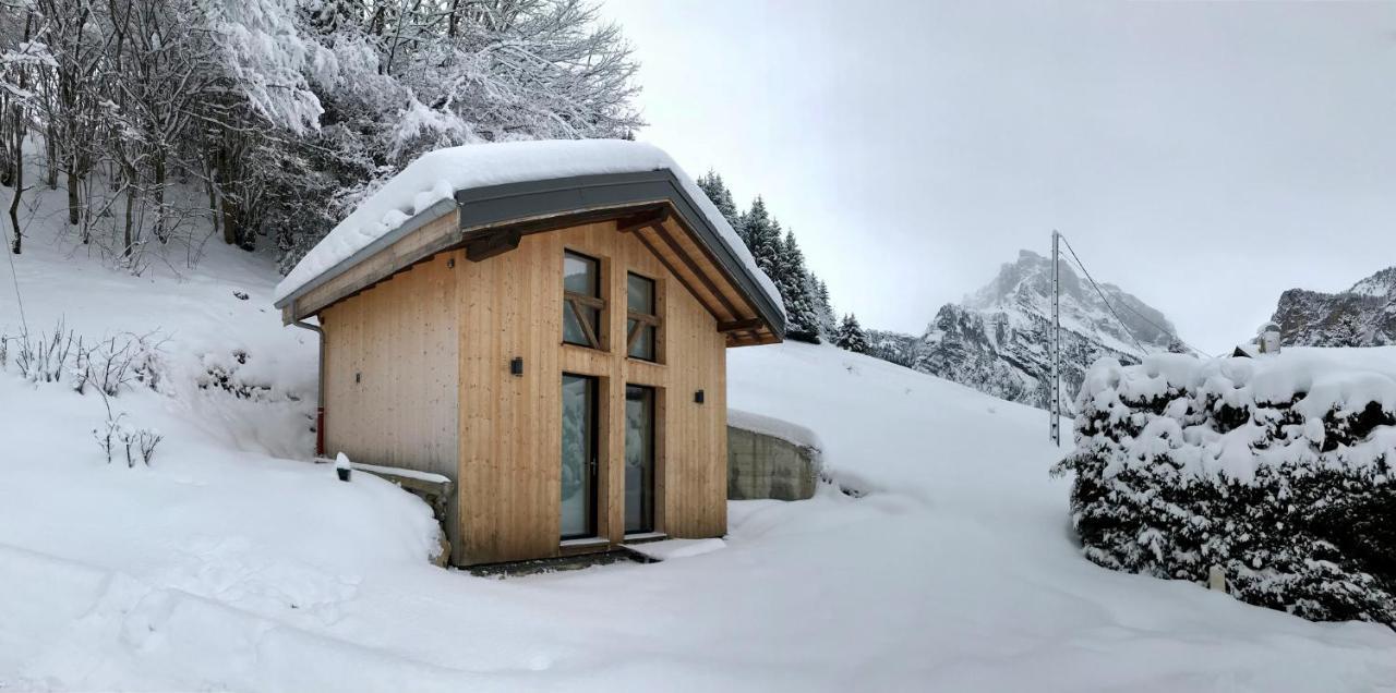 Chalet*** Au Pied D'Une Prairie Face A La Montagne Sixt Dış mekan fotoğraf