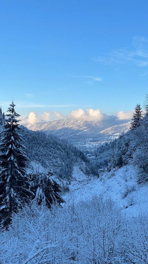 Chalet*** Au Pied D'Une Prairie Face A La Montagne Sixt Dış mekan fotoğraf