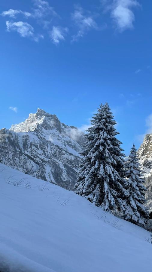Chalet*** Au Pied D'Une Prairie Face A La Montagne Sixt Dış mekan fotoğraf