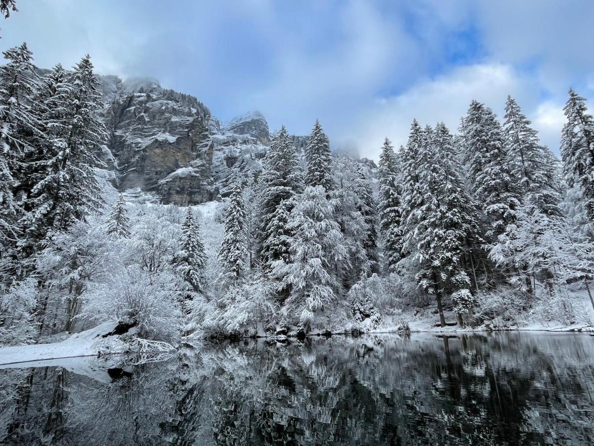 Chalet*** Au Pied D'Une Prairie Face A La Montagne Sixt Dış mekan fotoğraf