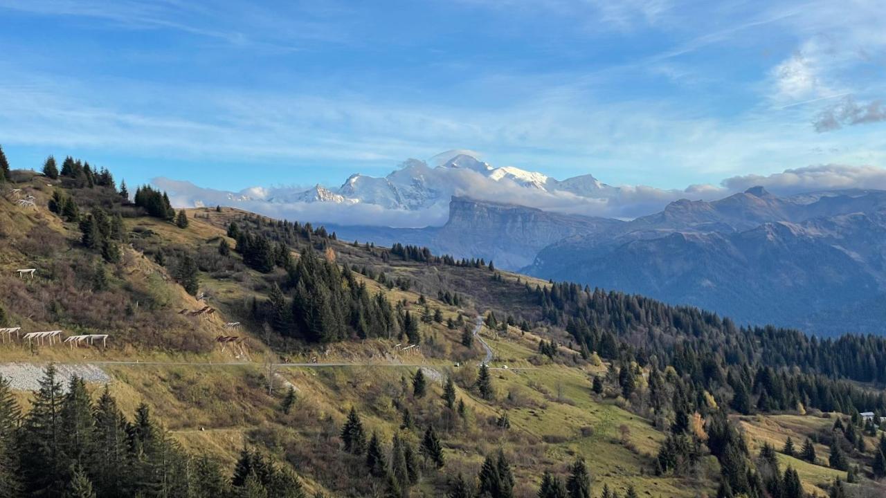 Chalet*** Au Pied D'Une Prairie Face A La Montagne Sixt Dış mekan fotoğraf