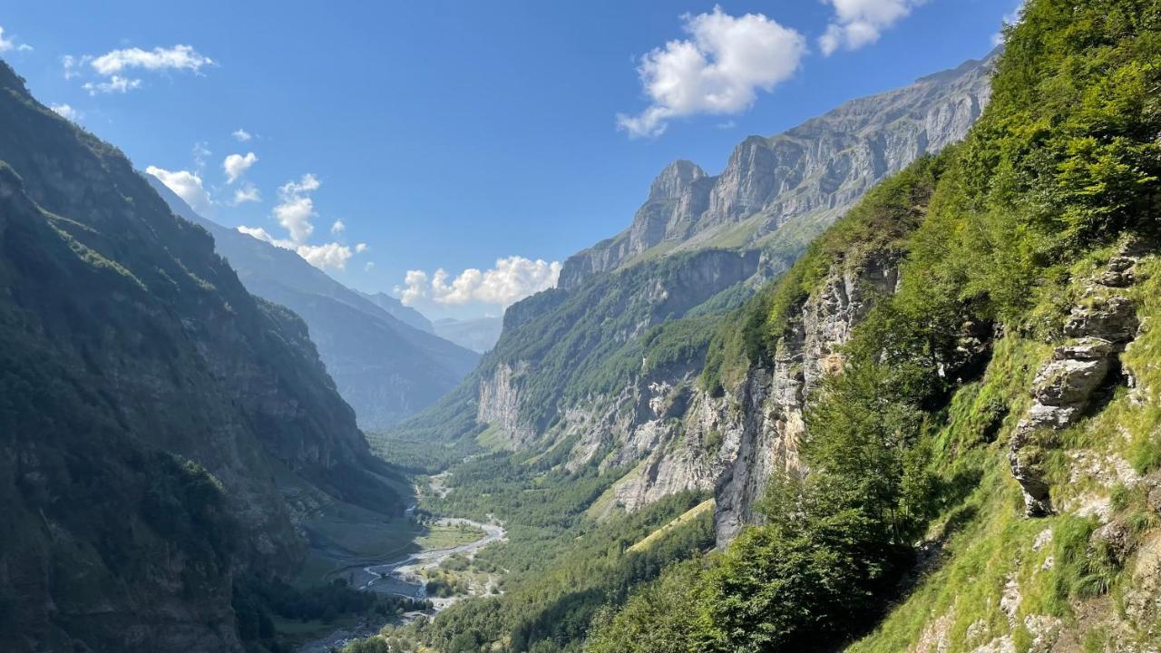 Chalet*** Au Pied D'Une Prairie Face A La Montagne Sixt Dış mekan fotoğraf