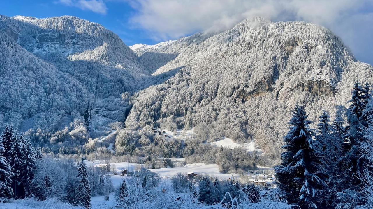 Chalet*** Au Pied D'Une Prairie Face A La Montagne Sixt Dış mekan fotoğraf