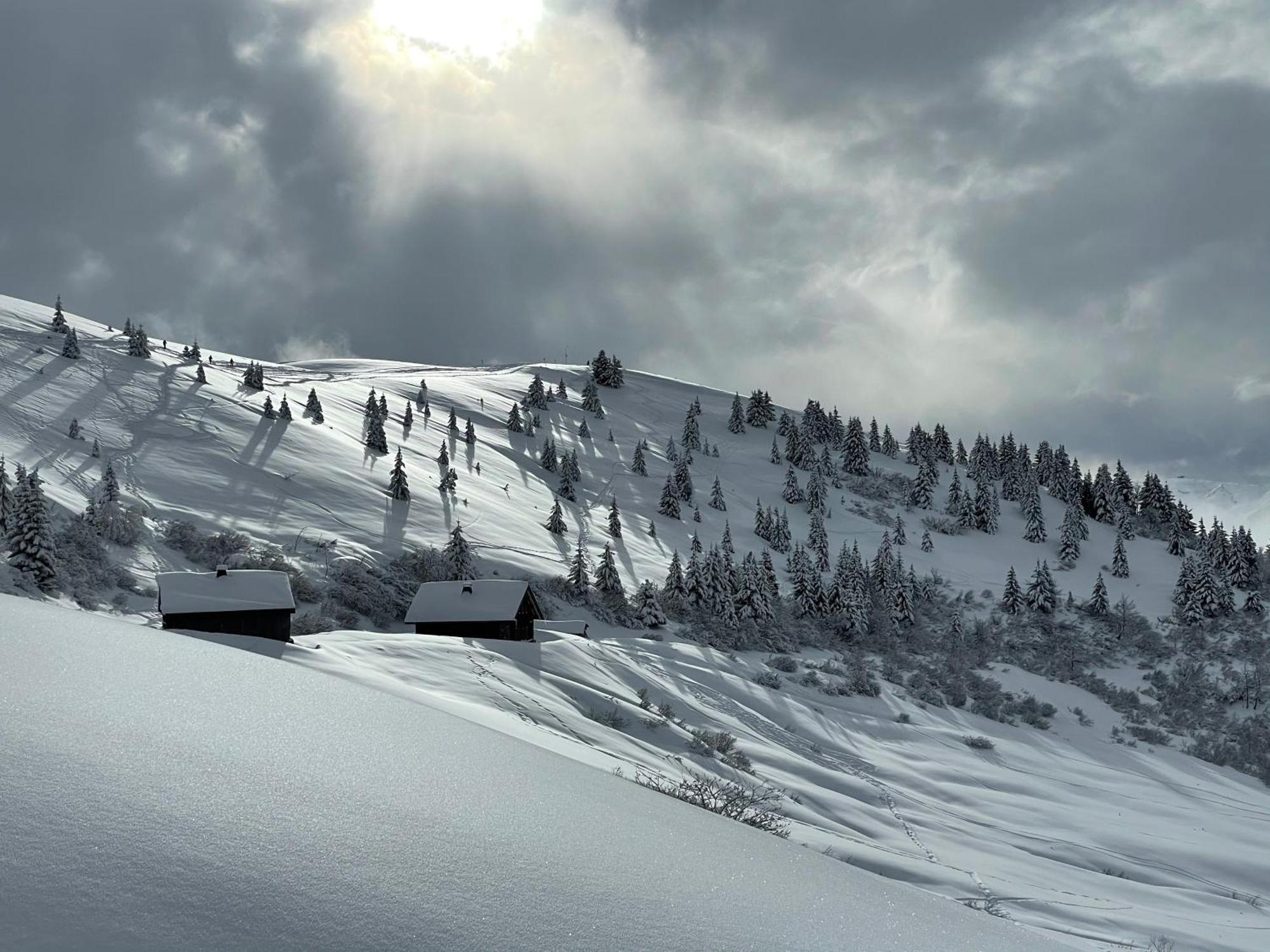 Chalet*** Au Pied D'Une Prairie Face A La Montagne Sixt Dış mekan fotoğraf